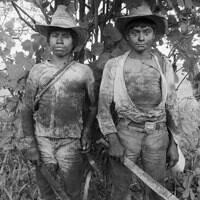 #171 - Cortadores de caña - Pacific Coast, Guatemala, 1987