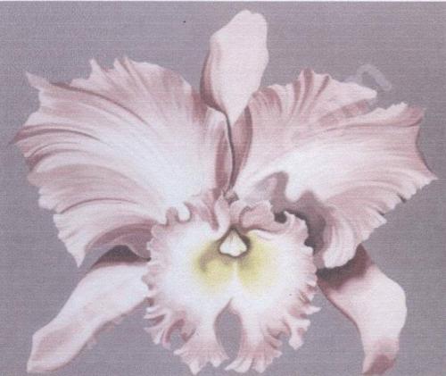 Nesbitt_Lowell - Orchid