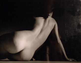 Female Nude Reclining - Back of Head and Torso