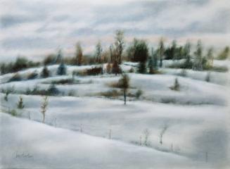 Winter Landscape - Michigan #3