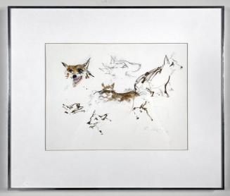 Untitled (Foxes)