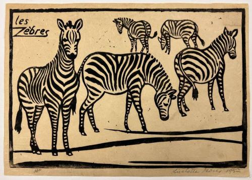 Zebras