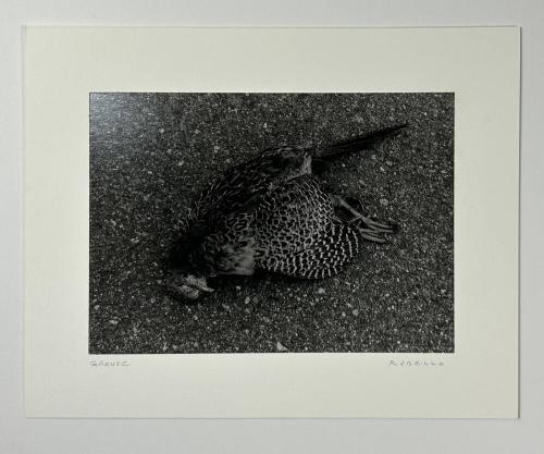 GROUSE