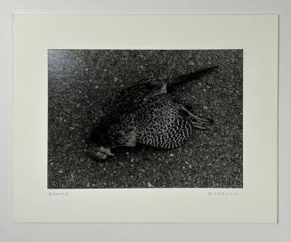 GROUSE