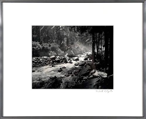 River Running Through a Forest