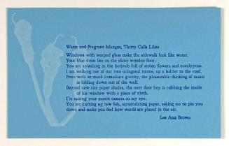 Warm and Fragrant Mangos, Thirty Calla Lilies