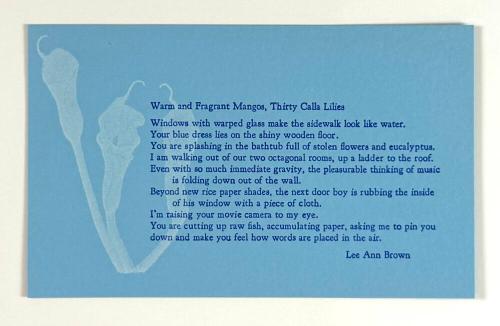 Warm and Fragrant Mangos, Thirty Calla Lilies