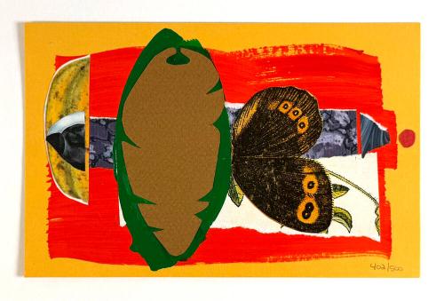 Acid Garden- Cocoon Series