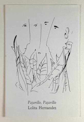 Pajarillo, Pajarillo