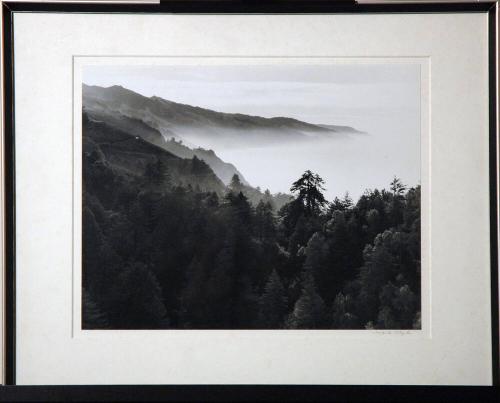 Morning Fog - Big Sur